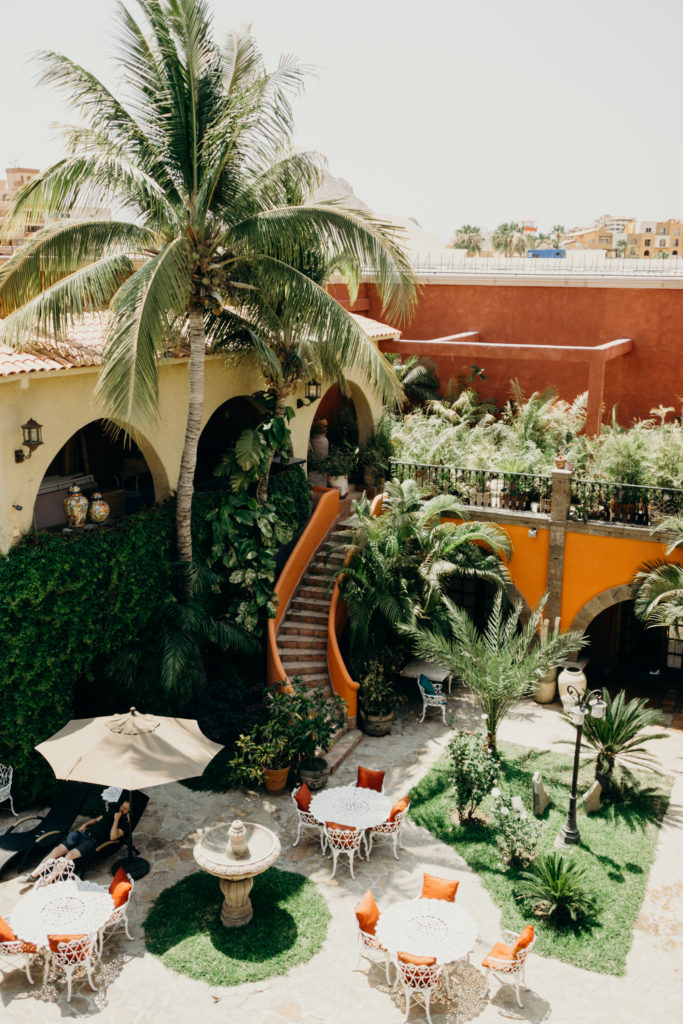 Cabo San Lucas Travel Diary